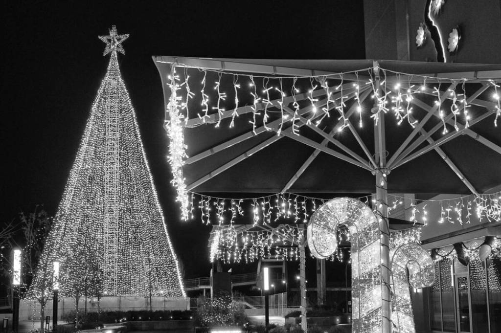 John Enman – An adventure photographing the Tree of Hope