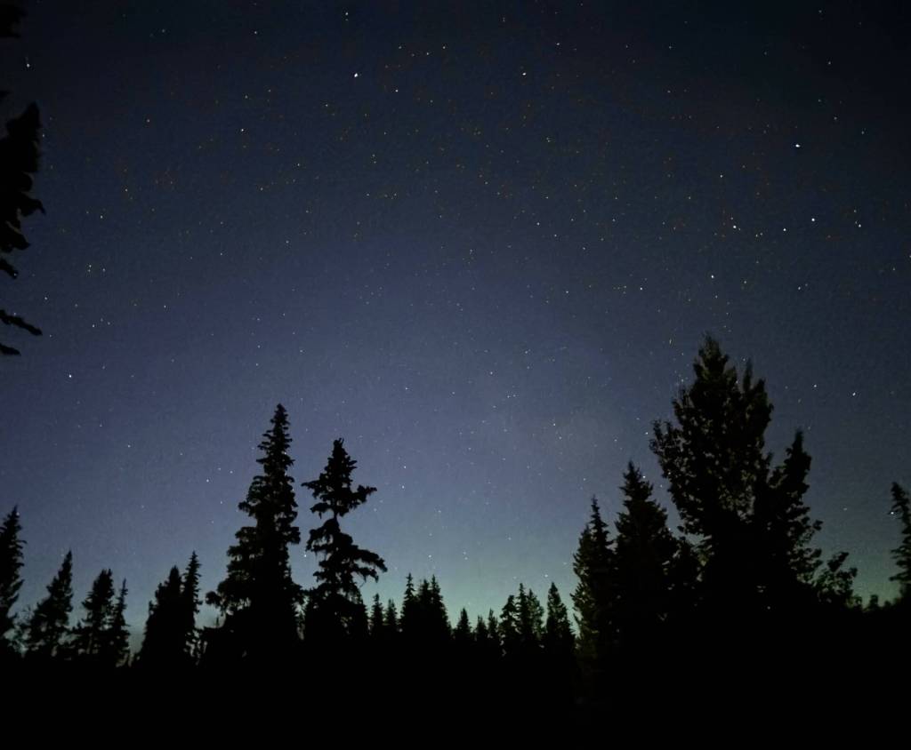 South Cariboo woman helps document 2025’s 1,052 Canadian UFO sightings - Barriere North Thompson Star